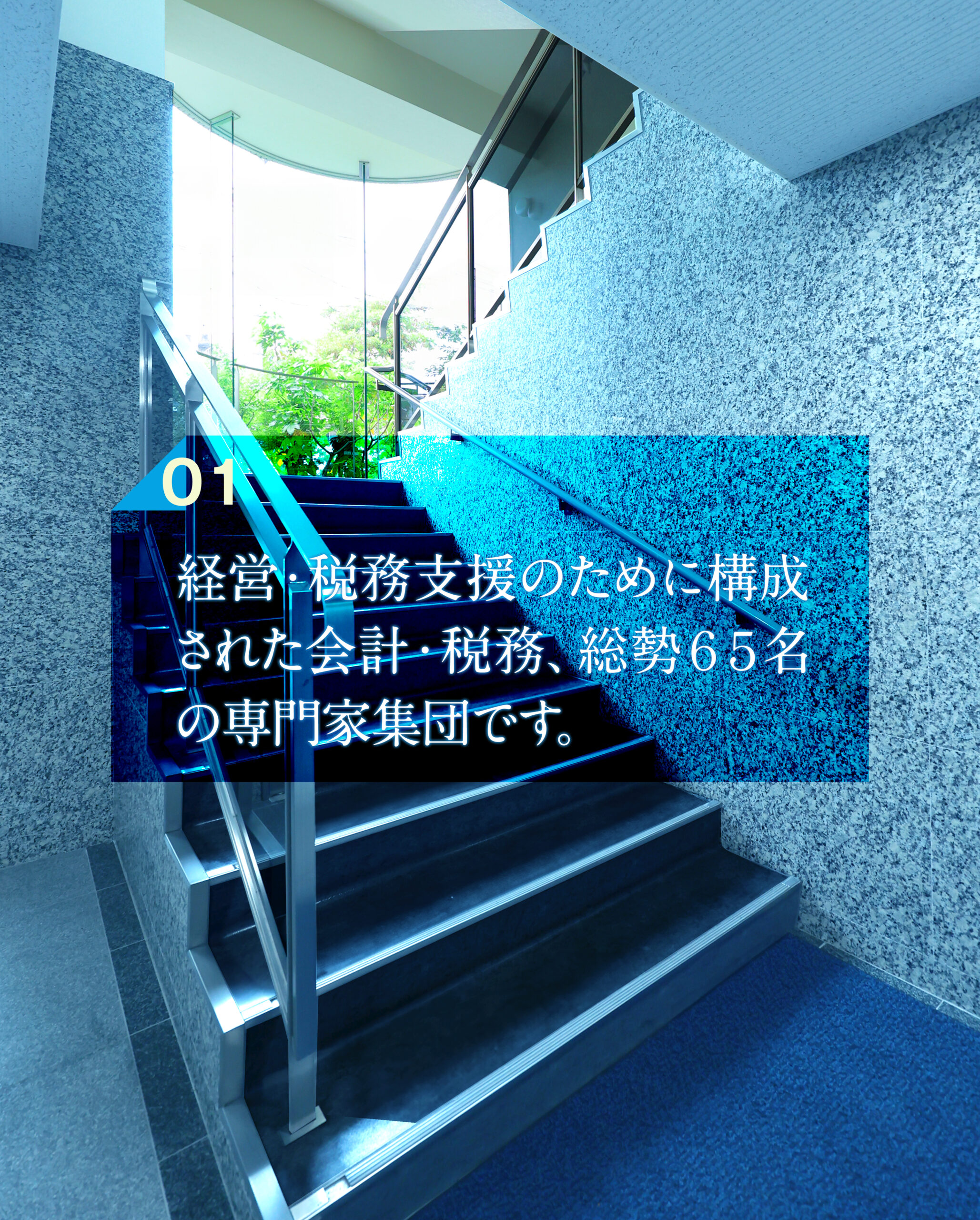 経営・税務支援のために構成された会計・税務、総勢65名の専門家集団です。